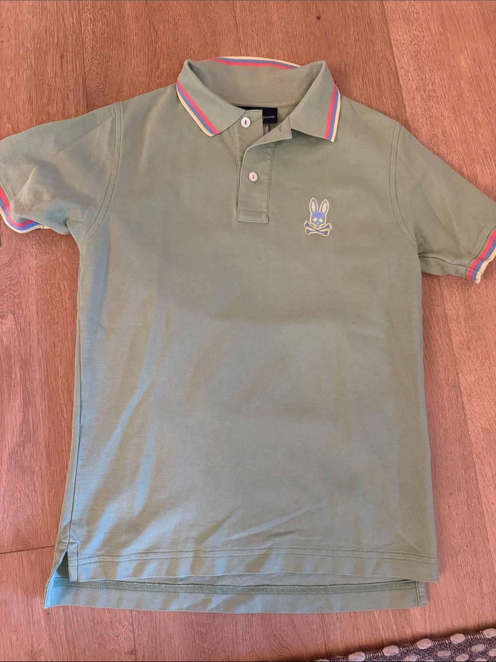Psycho Bunny Sage Green Polo with Rainbow Trim